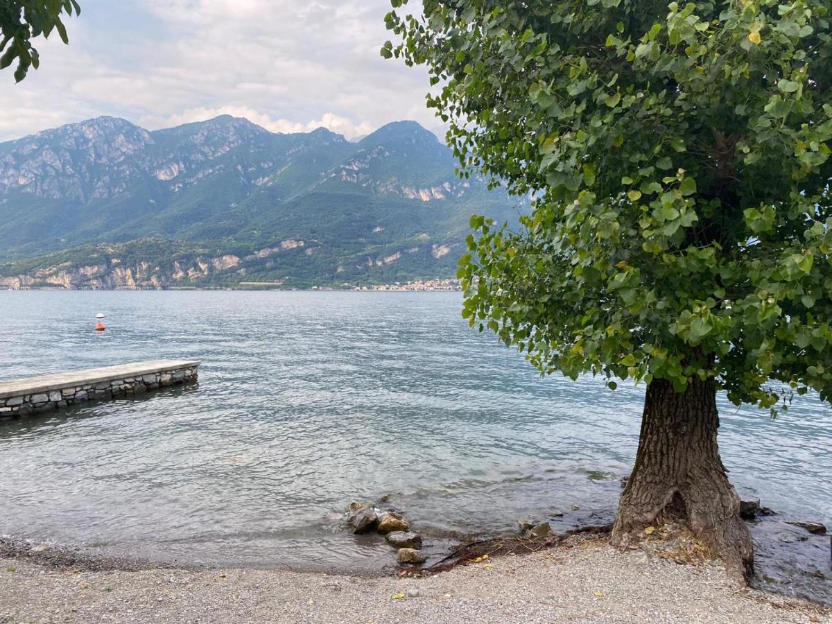 Al Cottage Oliveto Lario Экстерьер фото